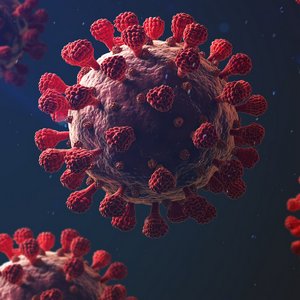 Актуальные вопросы профилактики инфекций, связанных с оказанием медицинской помощи (ВО, 72ч.)